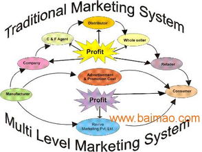 直銷系統軟件開發與推廣網站搭建全攻略